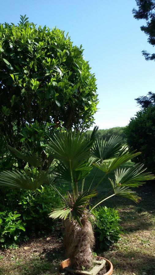 Manoir Des Turets Bed & Breakfast Yvre-l'Eveque Luaran gambar