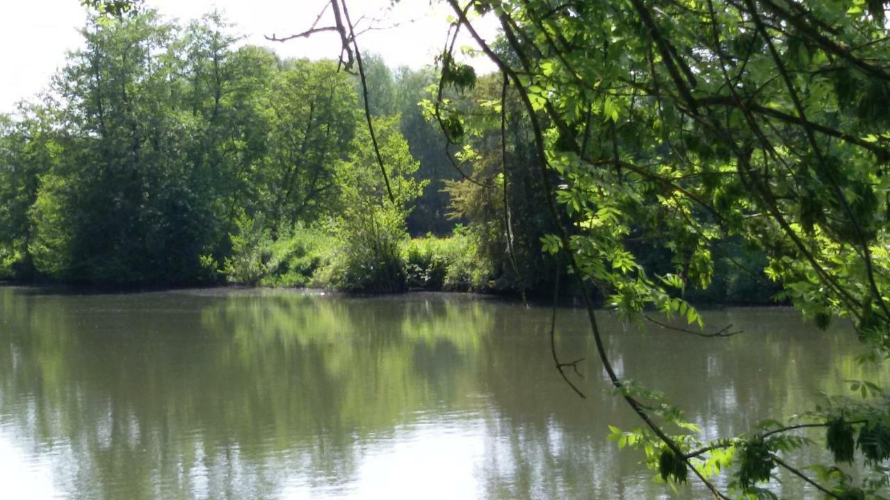 Manoir Des Turets Bed & Breakfast Yvre-l'Eveque Luaran gambar